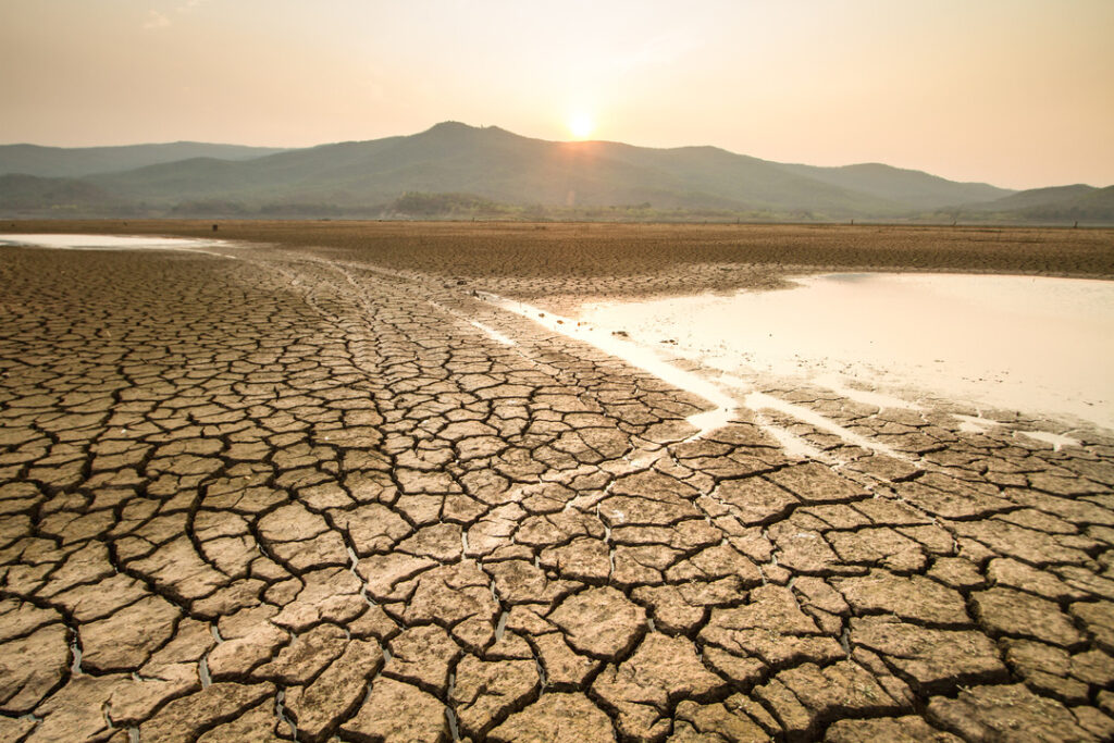 barren lands