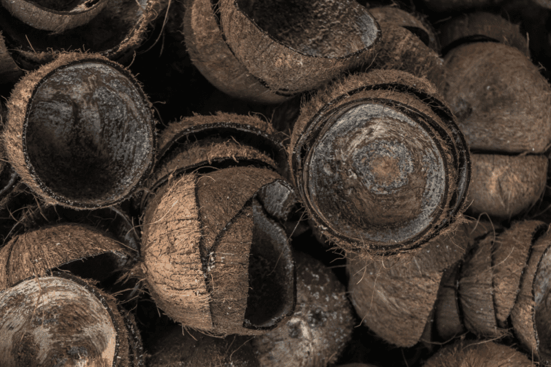 coconut shell