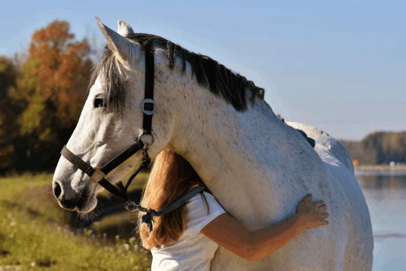 women hugging white pet horse